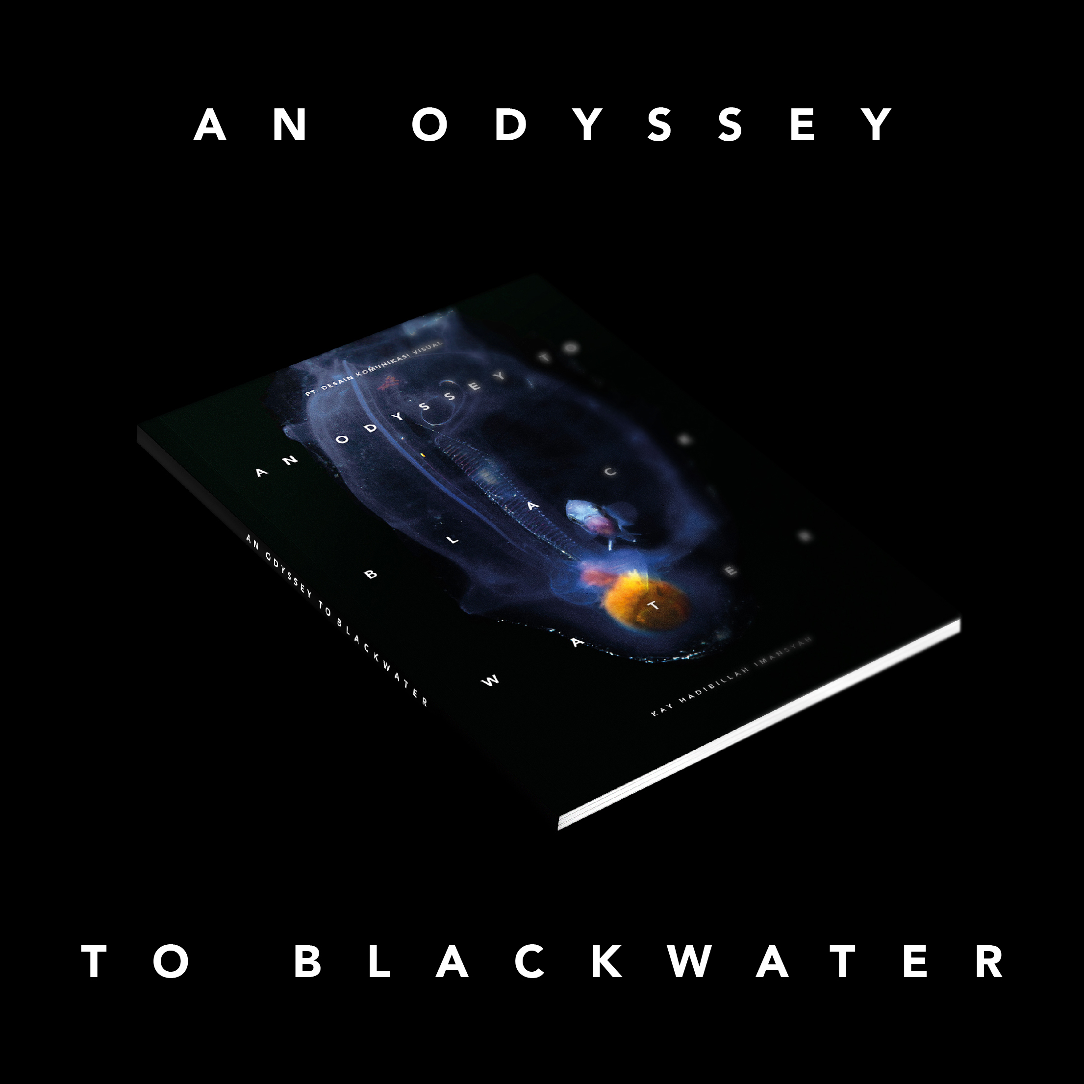 An Odyssey to Blackwater